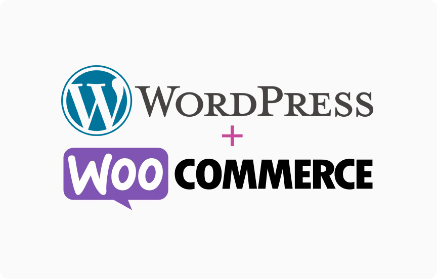 Services of Next IT Station - WordPress & Woo-Commerce