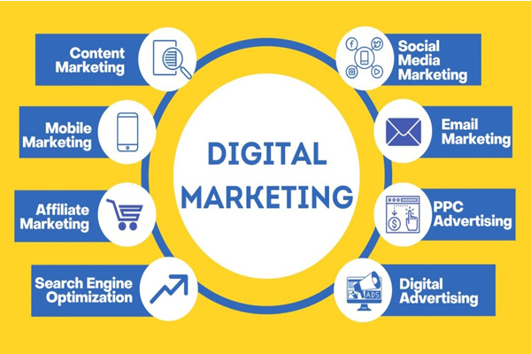 Services of Next IT Station - Digital Marketing Services